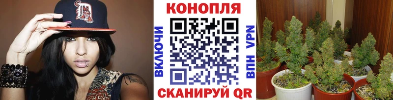 Как найти наркотики Лабинск APVP Бошки Шишки COCAIN