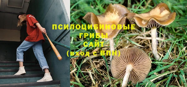 соль курить ск Алексеевка