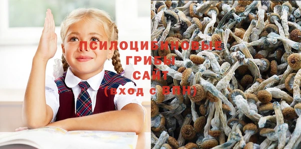 соль курить ск Алексеевка