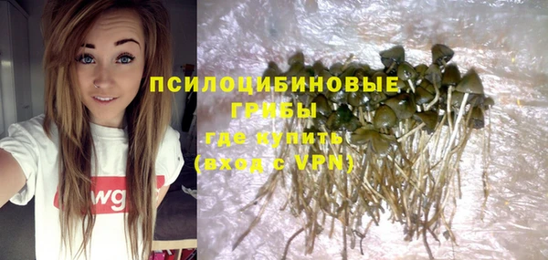 круглые Алзамай