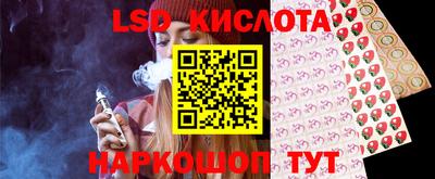 кокс Кингисепп