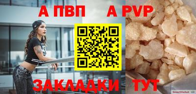 кокс Кингисепп