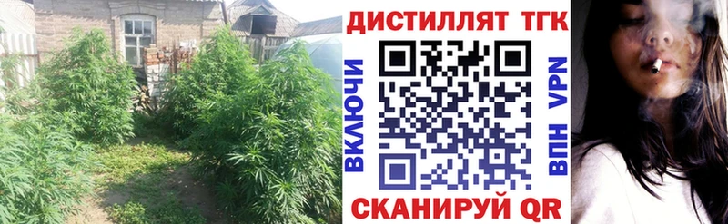 магазин продажи   Лабинск  Дистиллят ТГК концентрат 