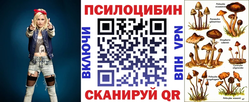 Псилоцибиновые грибы прущие грибы  купить  сайты  Лабинск 