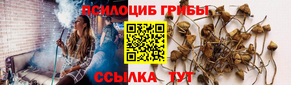 Псилоцибиновые грибы GOLDEN TEACHER Лабинск