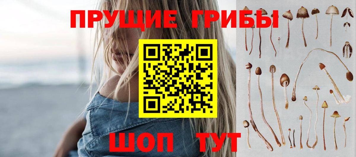 Псилоцибиновые грибы GOLDEN TEACHER  Галлюциногенные грибы Cubensis  Лабинск  Вход с VPN 